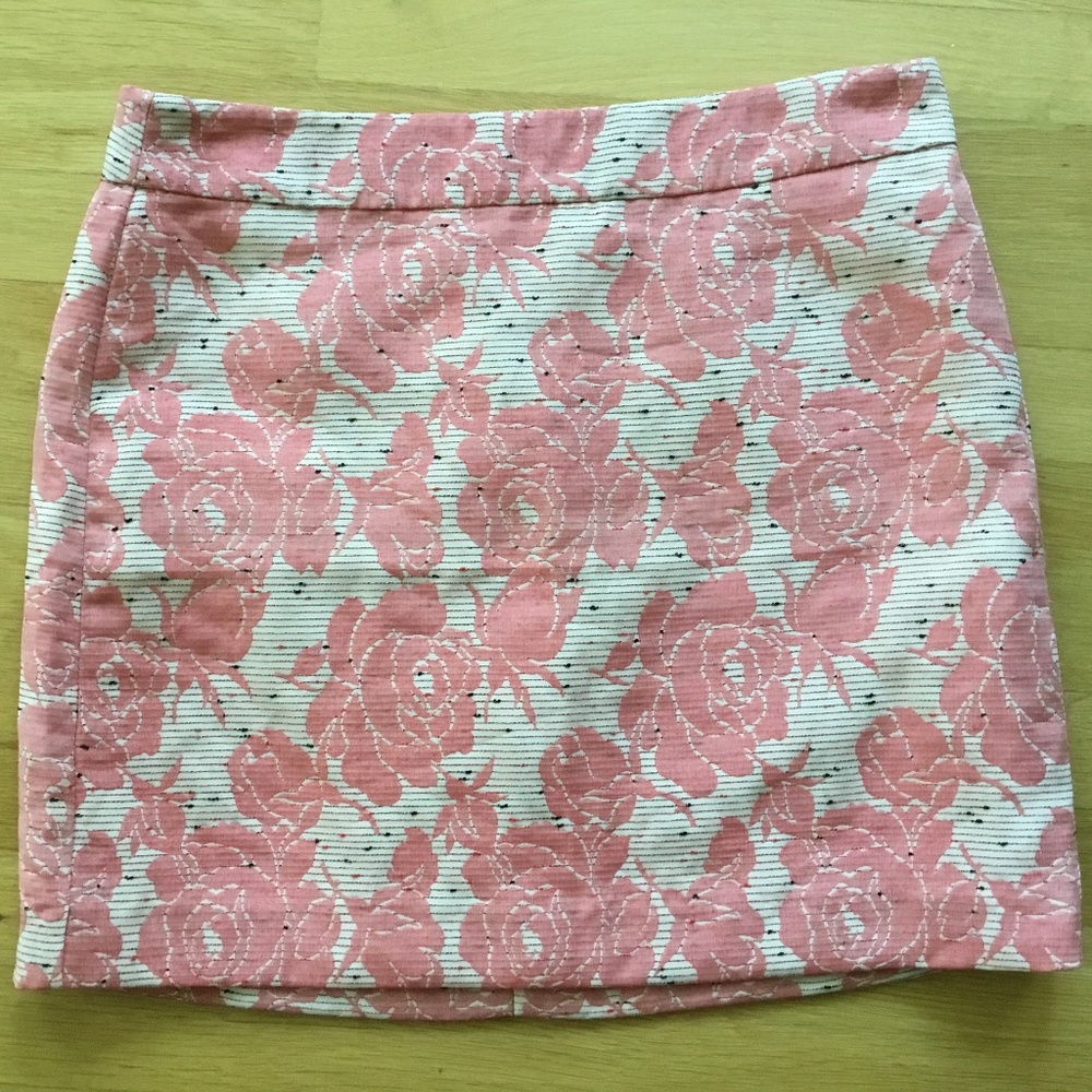 Ann Taylor Loft skirt size 10P